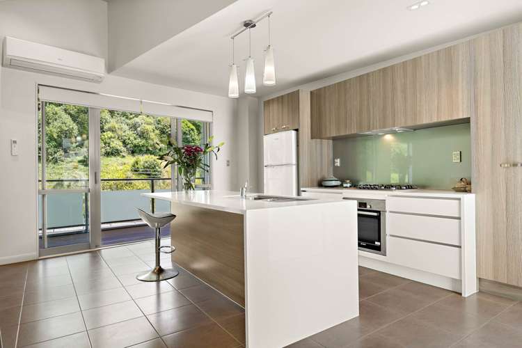 65 Gibraltar Crescent Parnell_7