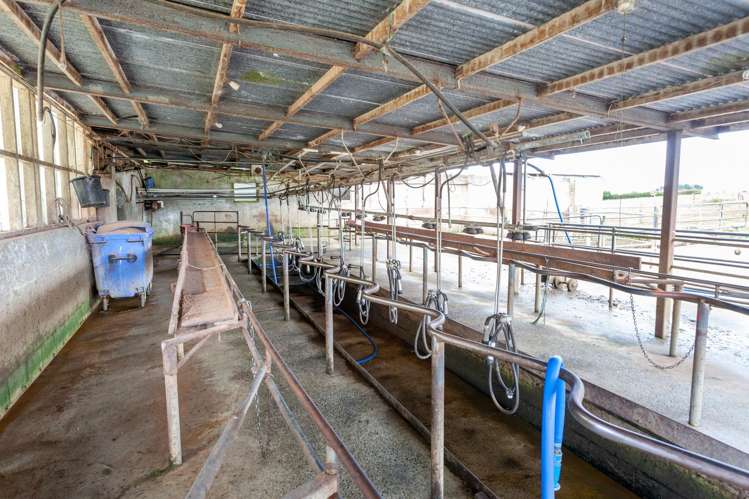 585 Morrinsville-Tahuna Road Morrinsville_13