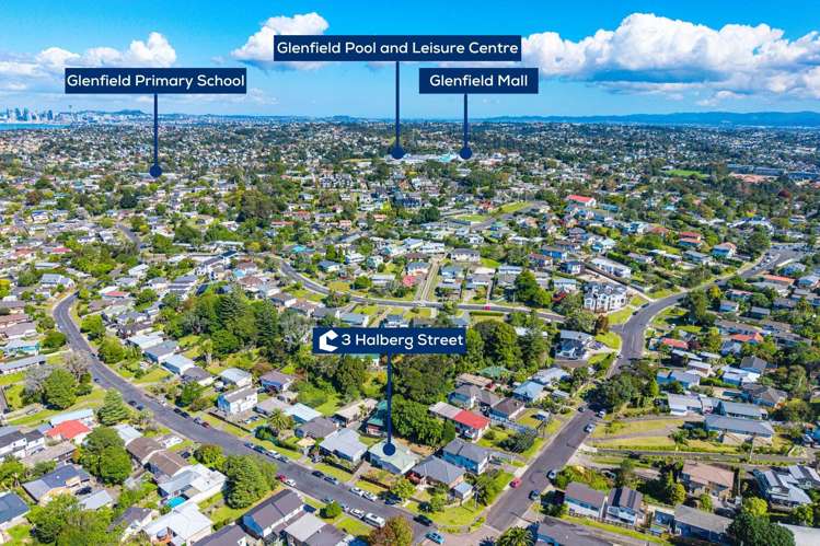 3 Halberg Street Glenfield_21
