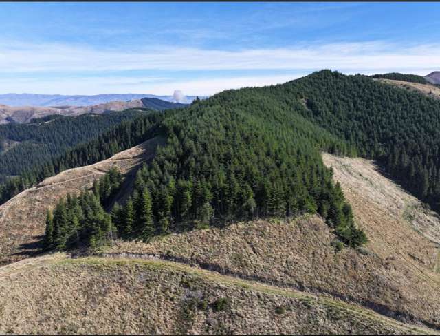 Te Moana Road Kakahu_3