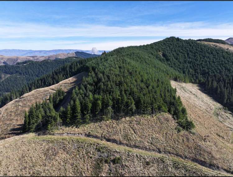 Te Moana Road Kakahu_3