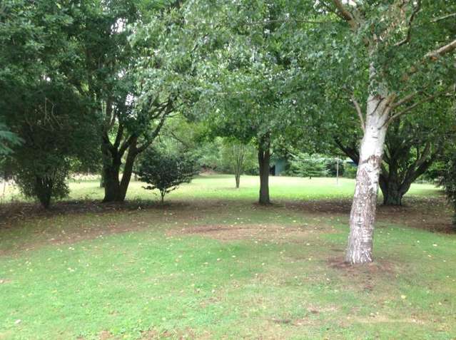 408 Mcvicar Road Te Haroto_4