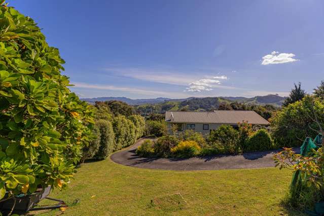 11 Rabbit Way Whitianga_1