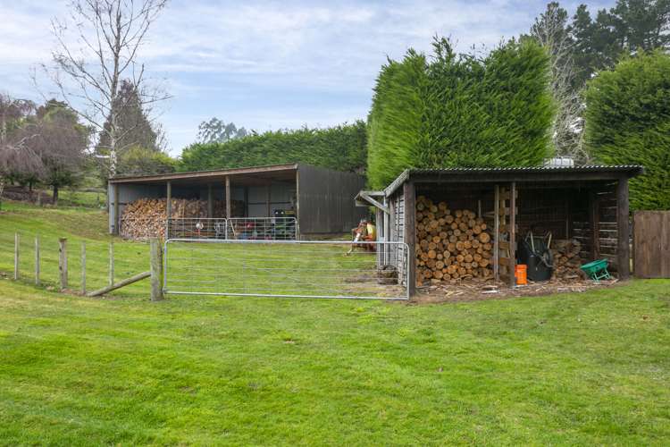 219 Caroline Drive Maunganamu_32