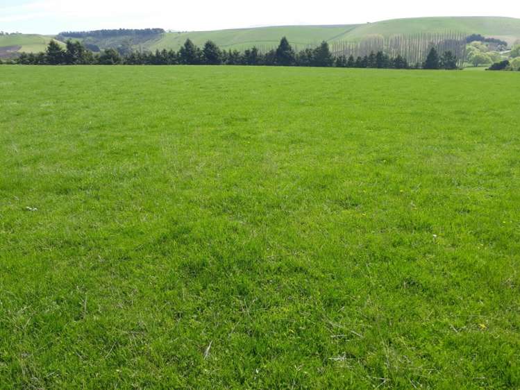 144 Tokarahi-Duntroon Road Five Forks and Surrounds_5