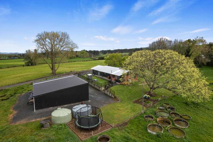 863 Tauhei Road Morrinsville_18