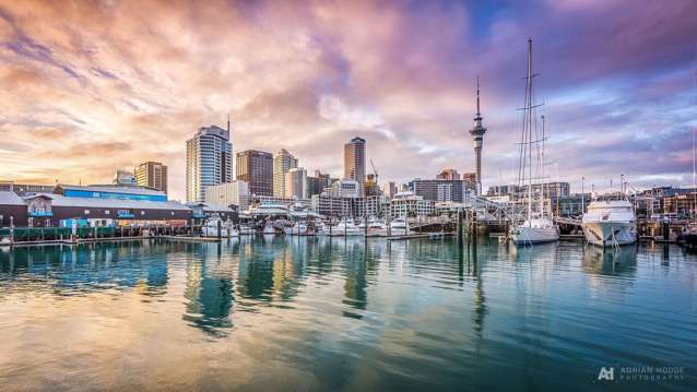 Stylish Apartment in Auckland Central