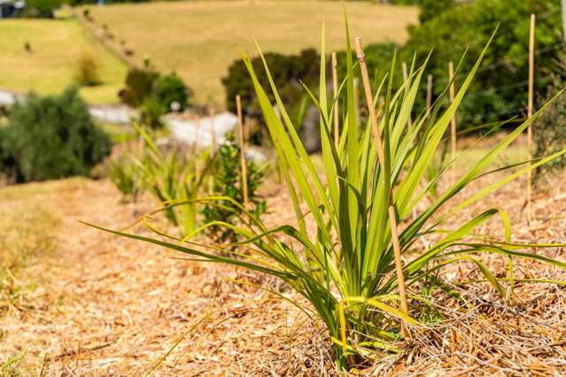 167 Barrier View Road Mangawhai_3