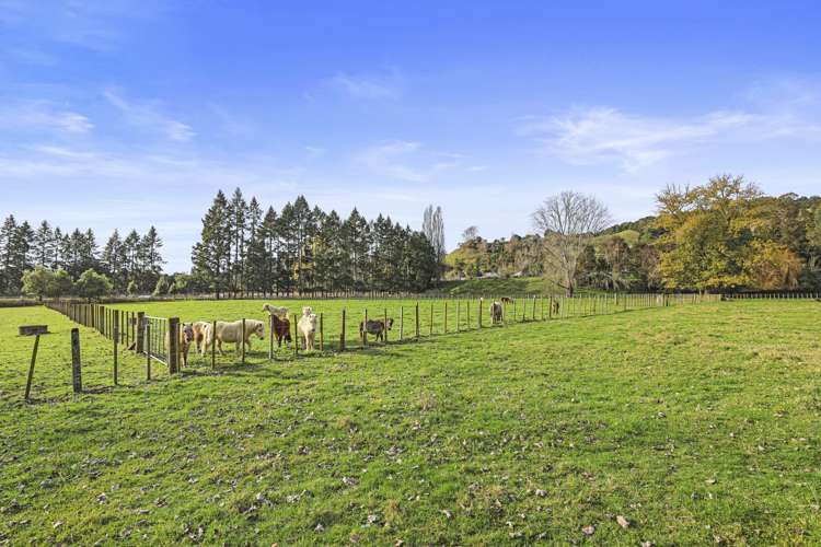 12 Blair Road Taumarunui_1