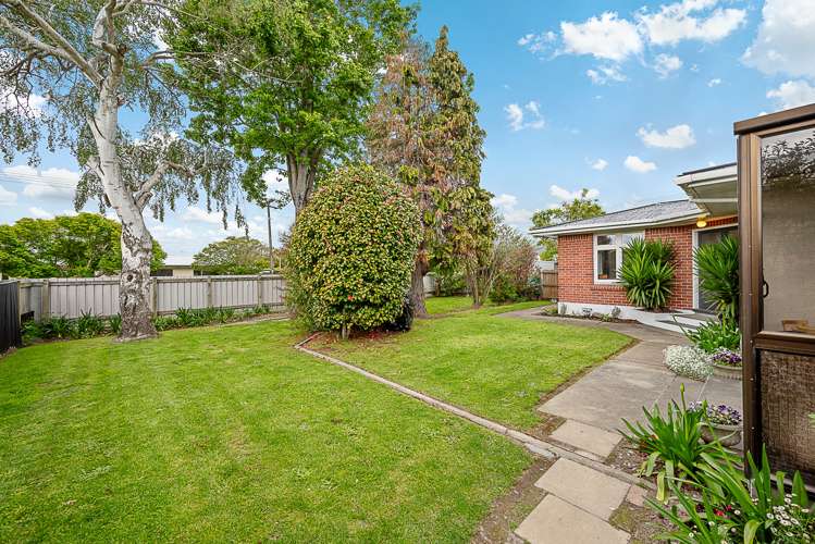 34 Cubitt Street Blenheim Central_18