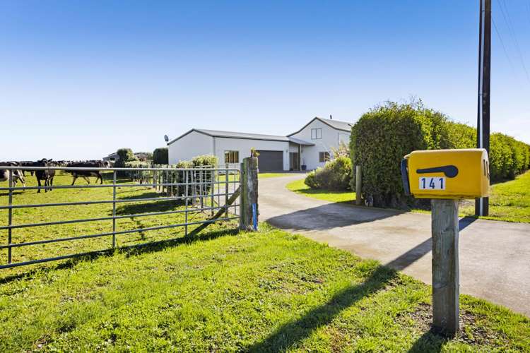 141 Scott Road Okaiawa_36