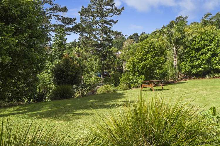 A203/525 East Coast Road Browns Bay_16