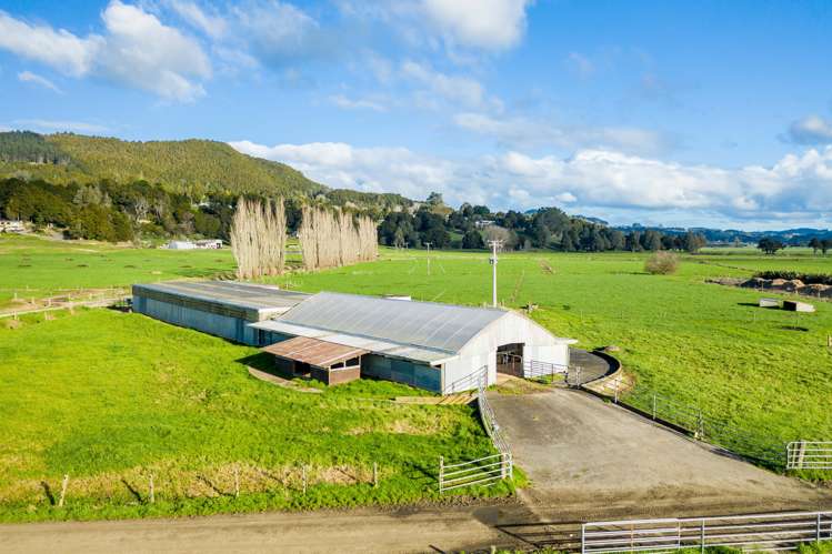 250 Apotu Road Kauri_10