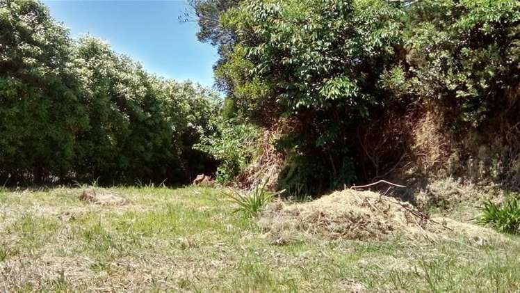 36 Roto Street Hurdon_6