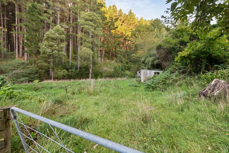 177 Forest Hill Road Aokautere_35