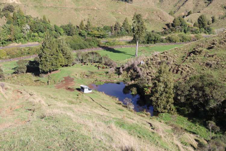 4869 Ohura Road Pohokura_27