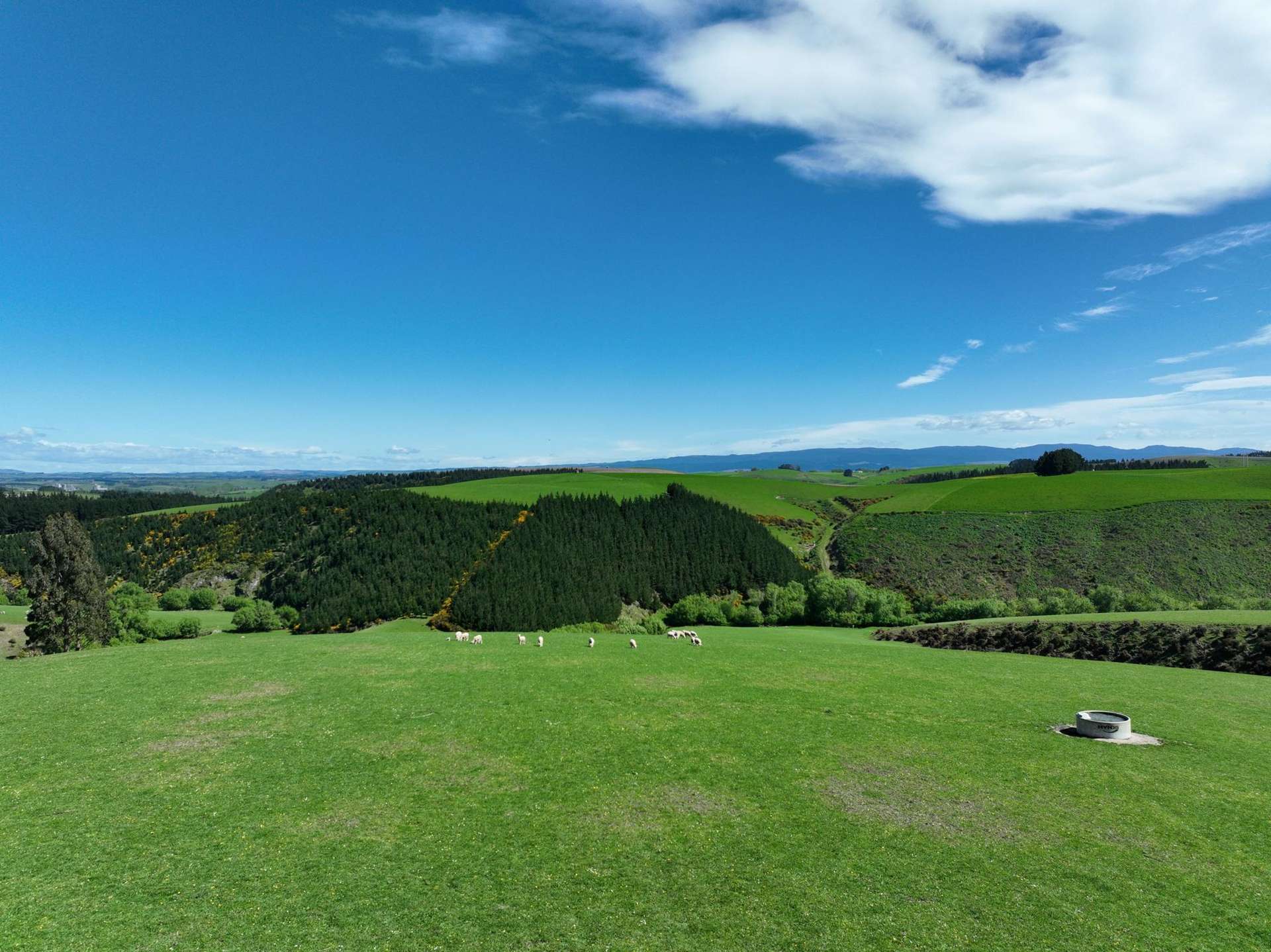 Smiths Track Balclutha_0