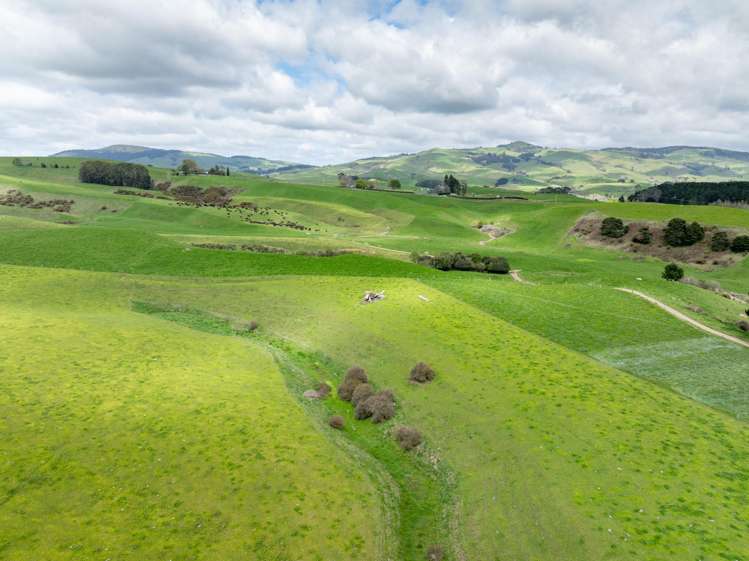 17 Chepmell Road Morrinsville_22