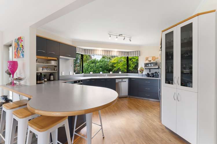 87 Macarthur Street Levin_11