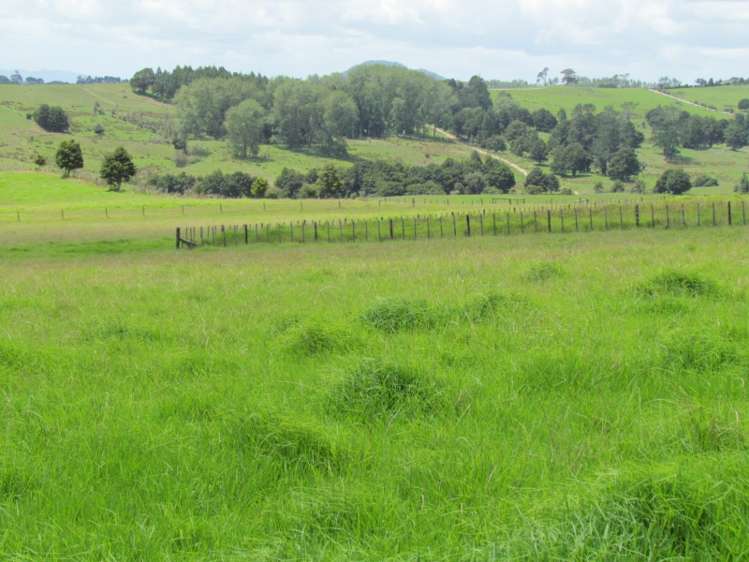 300 Gumtown Road Kamo_11