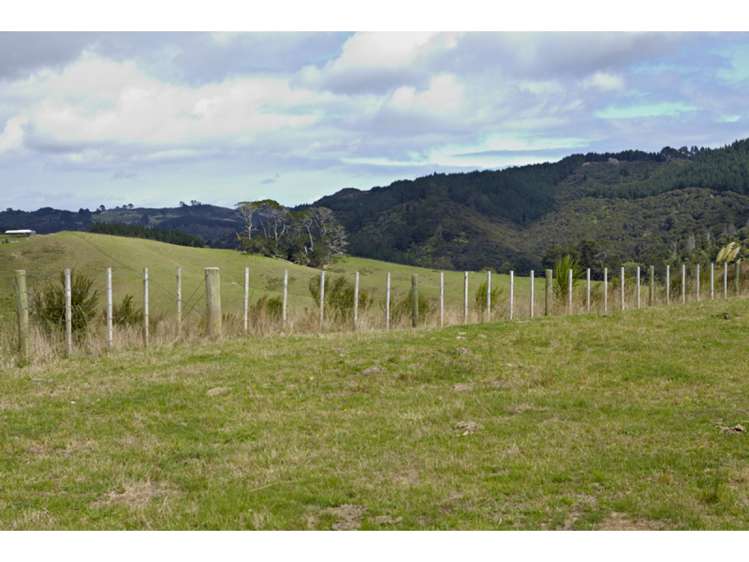 47 Haul Road Tahekeroa_11