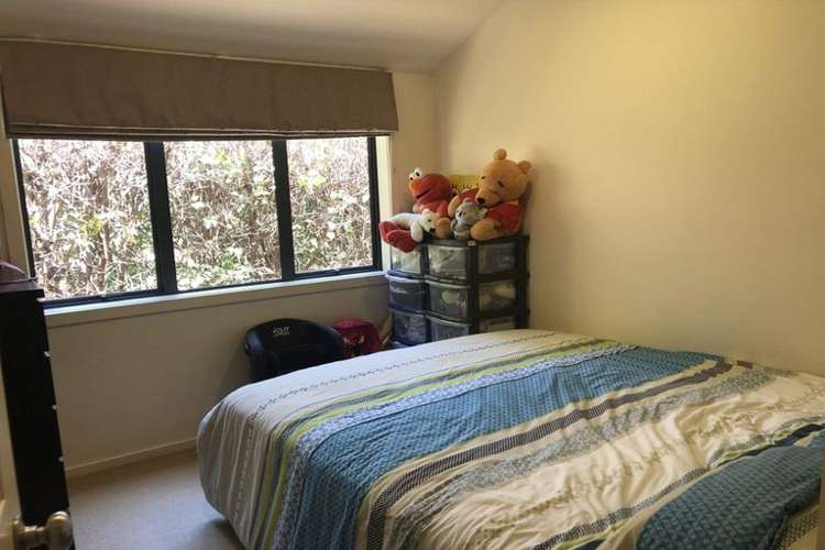 12c Drake Street Howick_7