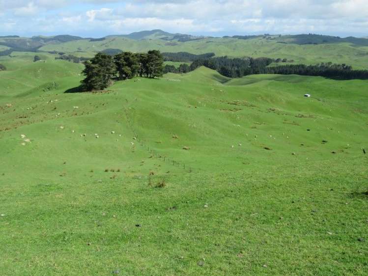1072 Mangatuna Road Rangitikei Surrounds_9