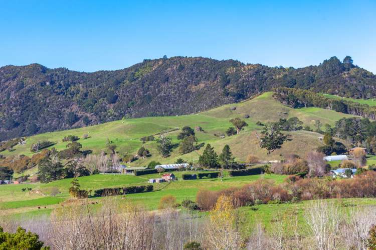 114 Whitehead Way Thames_28