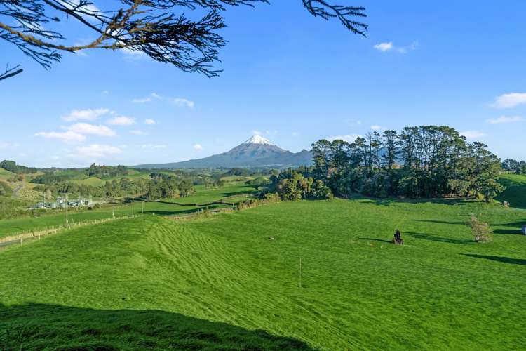 704 Mangorei Road Mangorei_14