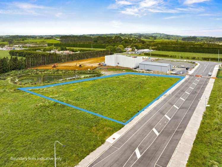 12 Allie Drive Tuakau_5