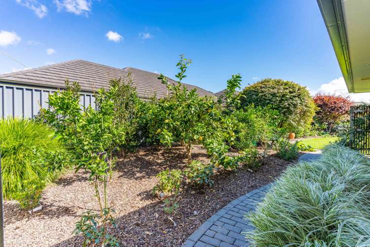 20 Chatsfield Place Kamo_21