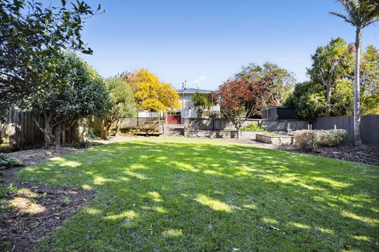 3a Waimea Street Westown_10