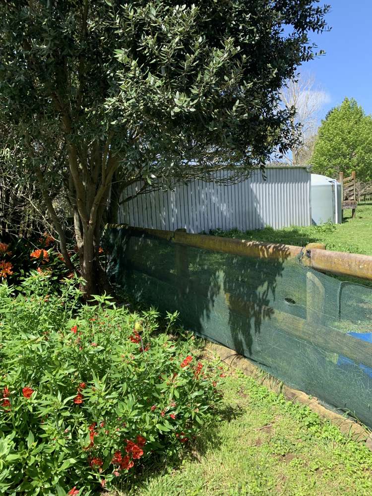 87 Pukeoware Road Waiuku_38