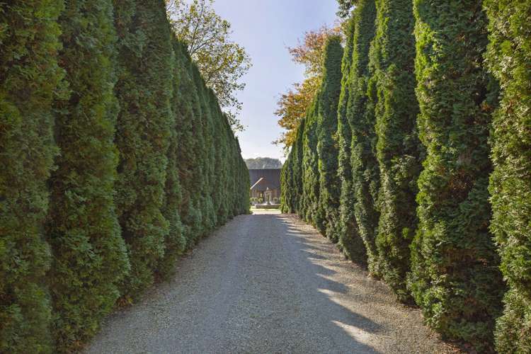 1/845 Maungatautari Road Cambridge_5