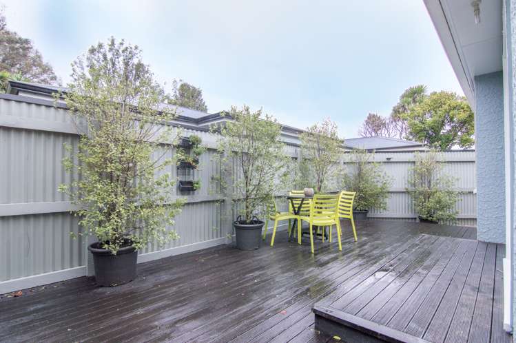 22 Alfred Street Roslyn_15