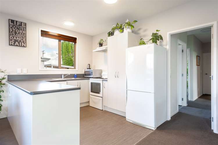 28a Oliver Street Kihikihi_3