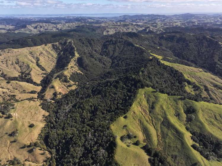 77 Remiger Road Puhoi_8
