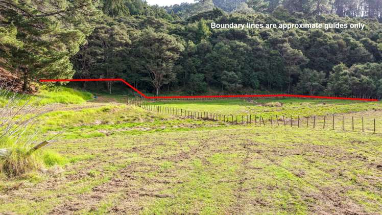 163 and 165 Tapu Coroglen Road Tapu_16