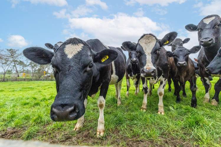 1091 Kakaramea Road Ngahinapouri_30