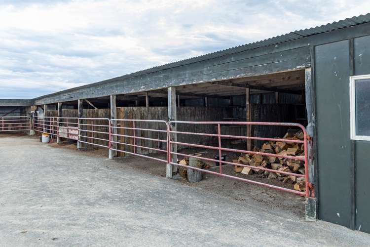 446 Grahams Road Willowby_24