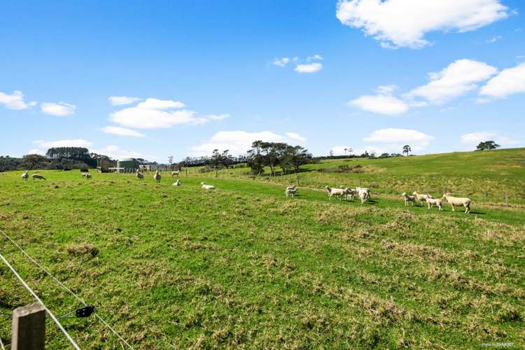 2940 Awhitu Road Awhitu_19