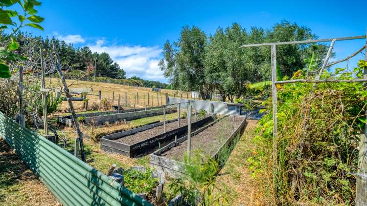 353 Rangiputa Road Karikari Peninsula_89