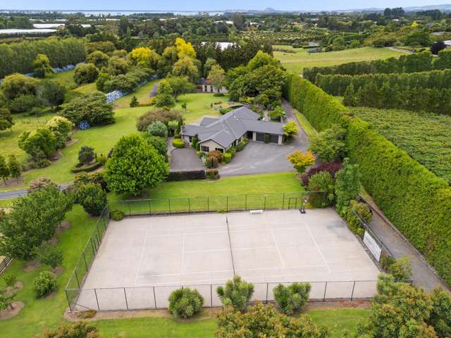58 Rawaka Drive Katikati_3