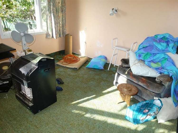 44 Gloag Street Waverley_9