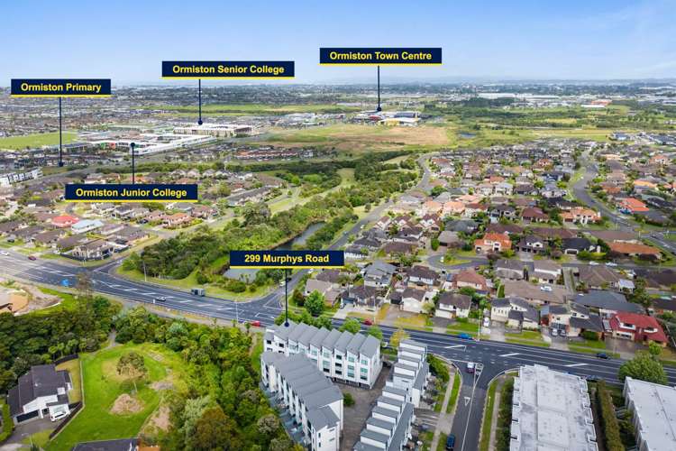 299 Murphys Road Flat Bush_19