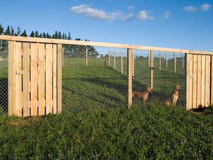 45 Sandys Road Kerikeri Surrounds_5