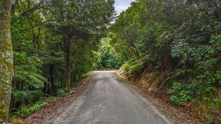 Lot 1 43 Hawaiki Lane Hira_2