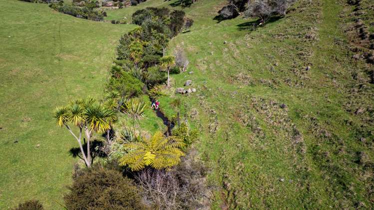459 Wainui Road Raglan_22
