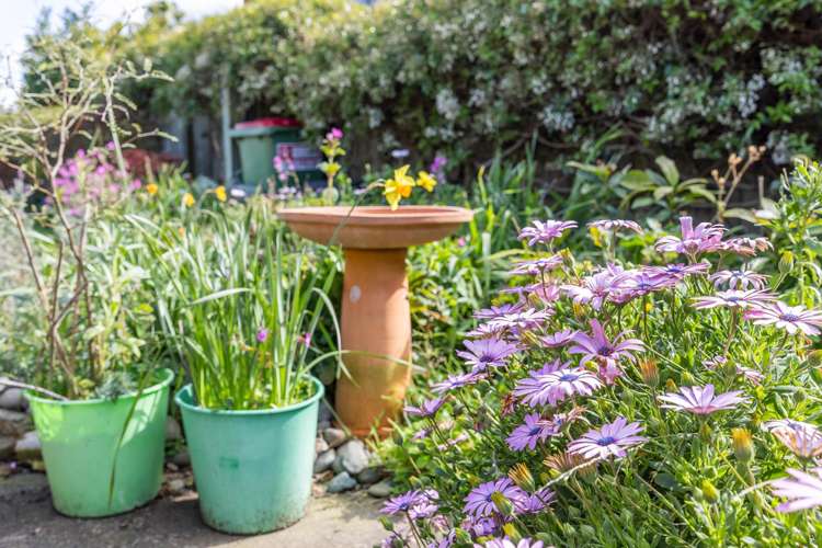 22 Cranbrook Place Rototuna North_19