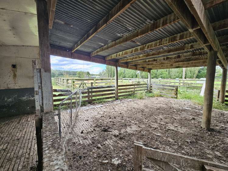 147 Chicory Road Inch Clutha_16